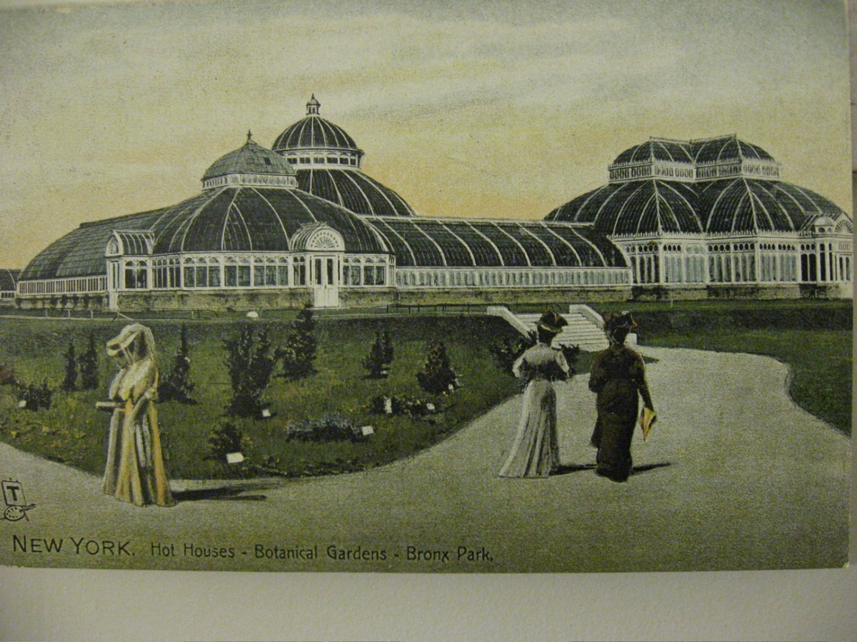 New York Botanical Garden vintage postcard.